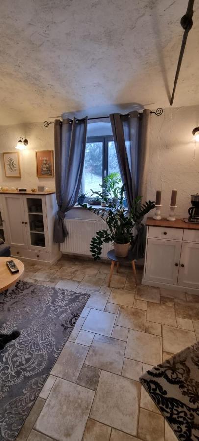 Monteur-Ferienwohnung Ot Naundorf Naundorf  Exterior foto
